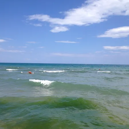 I Colori Di Sara Katanya